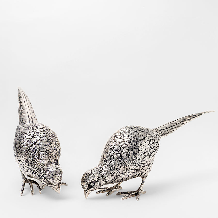 Pheasant couple