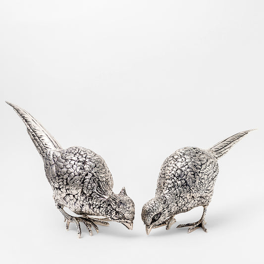 Pheasant couple